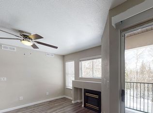 Ryan Gulch, Silverthorne, CO 80498