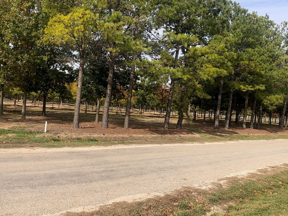 2nd image of Jenkins Rd