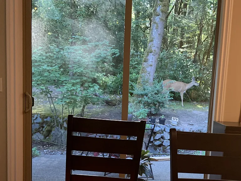 View from living room