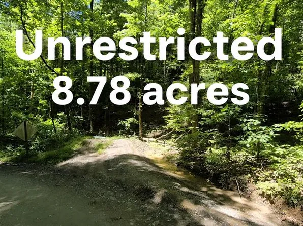 LOT 28 Laurel Ridge Dr, Cherry Log, GA 30522
