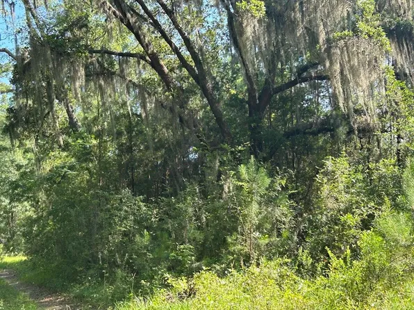 5856 Martin St Lot 1, Ravenel, SC 29470