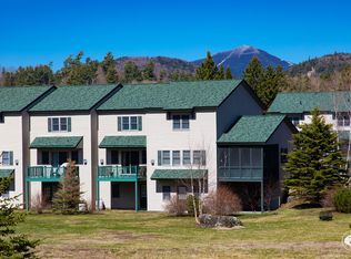 179 Fir Way UNIT 16, Lake Placid, NY 12946