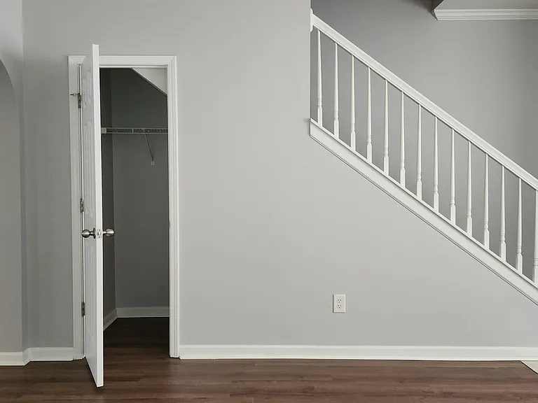 Living room coat/storage closet