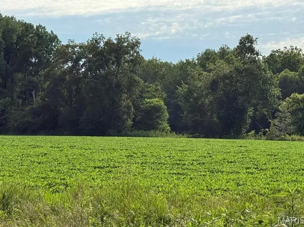 40 Brush Creek Rd, New London, MO 63459
