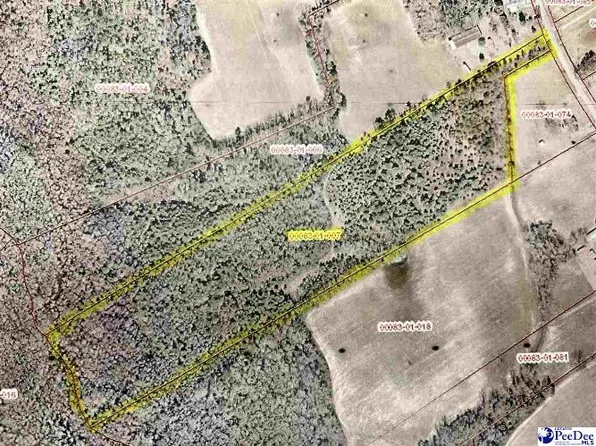 4835 Langston Rd, Timmonsville, SC 29161