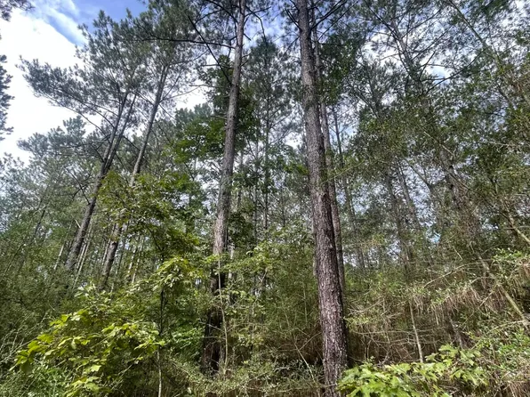 568 Highway, Magnolia, MS 39652