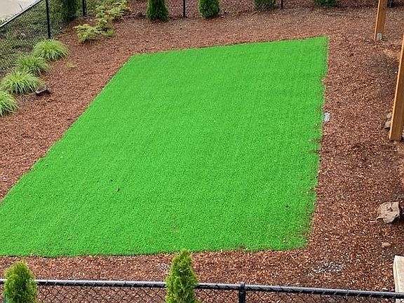 Low maintenance backyard