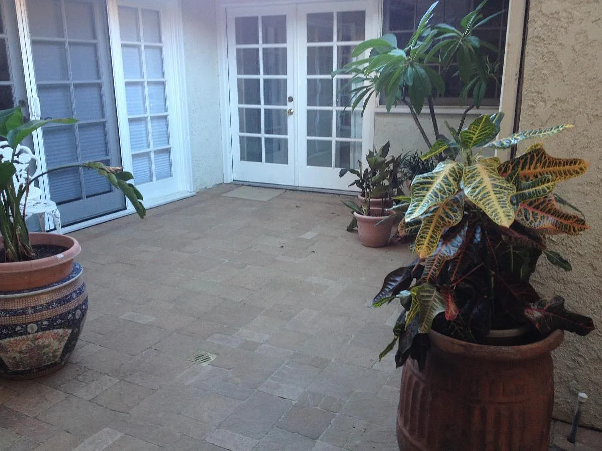 10821 Vida Drive — Photo 3
