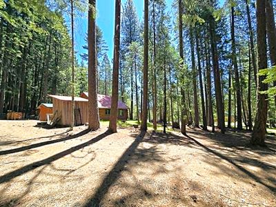 836 Ulrich Rd, Prospect, OR, 97536