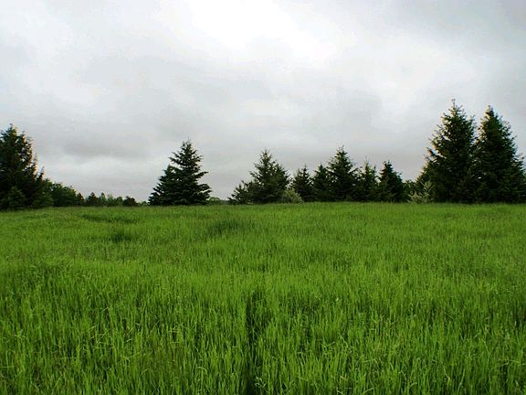 5th image of 6088 River Road 5.33 Acres