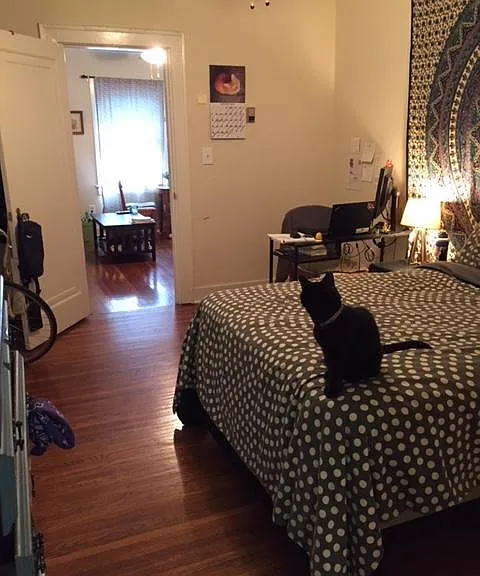 Standing in kitchen facing bedroom area and living area.