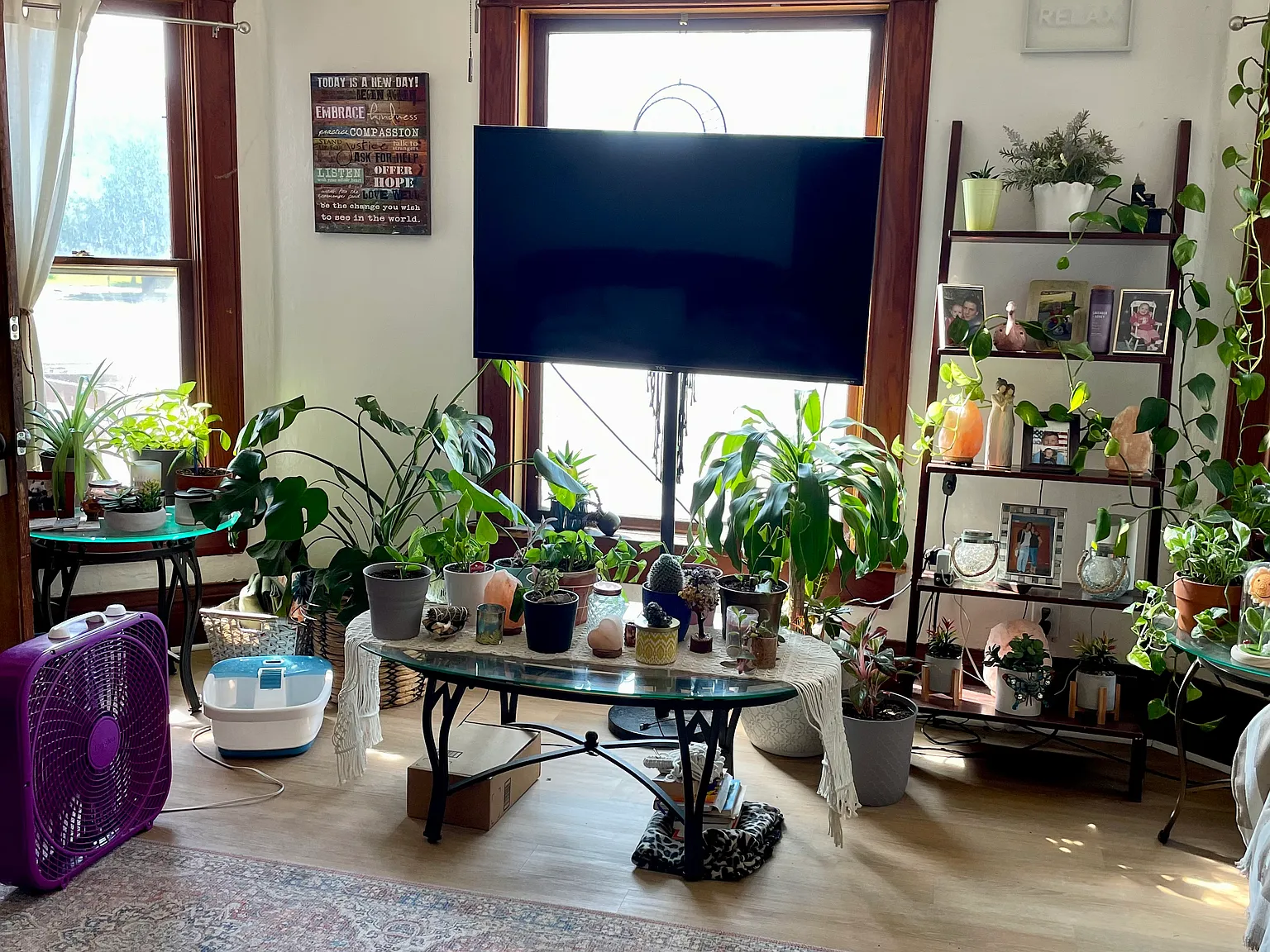 2 bed, 1100 sqft, $1,850 — Photo 4