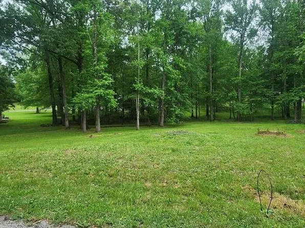 0 Poplar Cv, Huntingdon, TN 38344