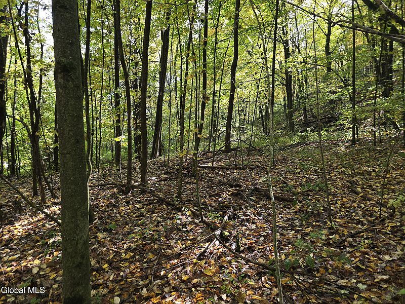 4th image of L25 River Road