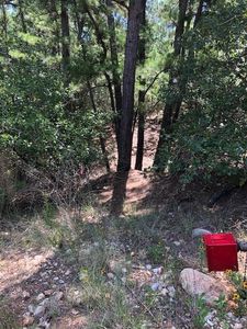 Hekili Dr, Bastrop, TX, 78602