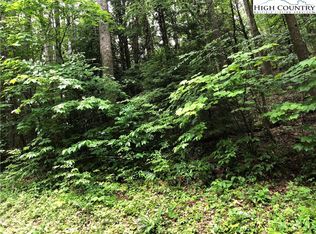 Hawk Ln, Elk Park, NC 28622