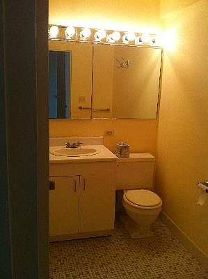 5th image of 1460 Sandburg Ter APT 806