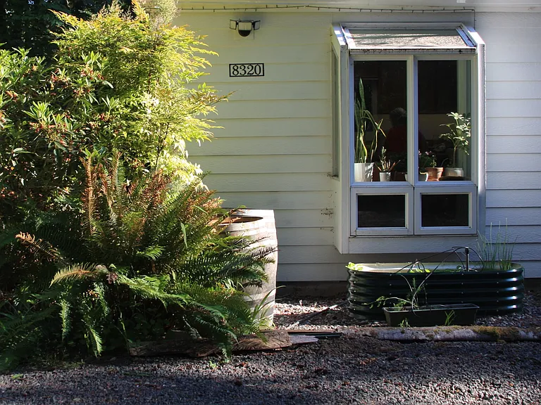 Kitchen garden, and year round window for sprouting and indoor plants.