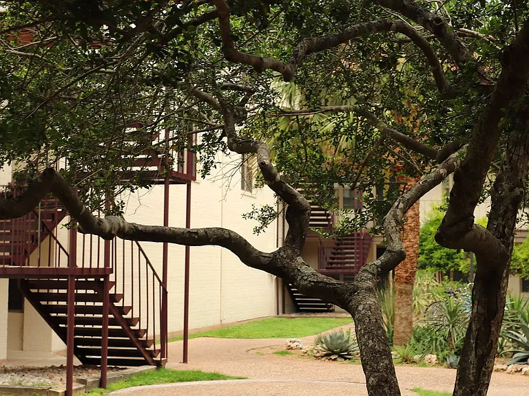 Su Casa — Photo 14