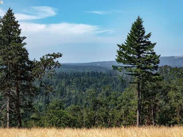 28797 SW Petes Mountain Rd, West Linn, OR 97068