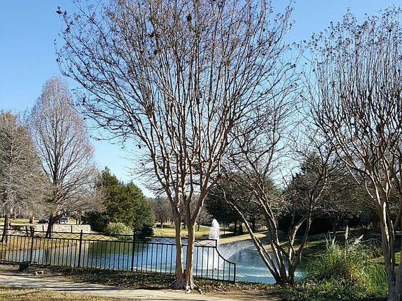 4th image of 6124 Palomino Dr