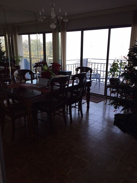 View from the dining room
