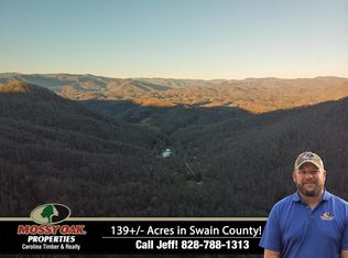 0 Chestnut Cove Rd, Bryson City, NC 28713