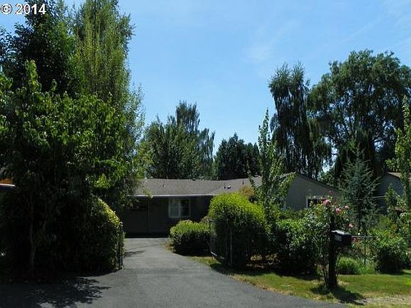 Summer - Front Yard