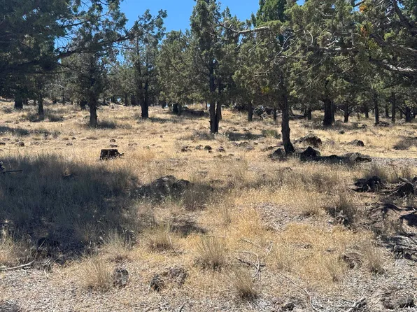 9-2 Stone Crest Dr Lot 227, Weed, CA 96094