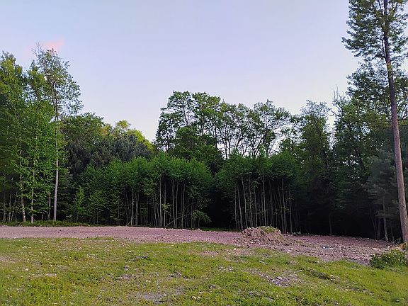 5th image of 0 Camp Coffman Rd
