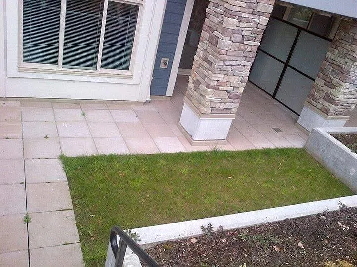 250 Francis Way #111 — Photo 4