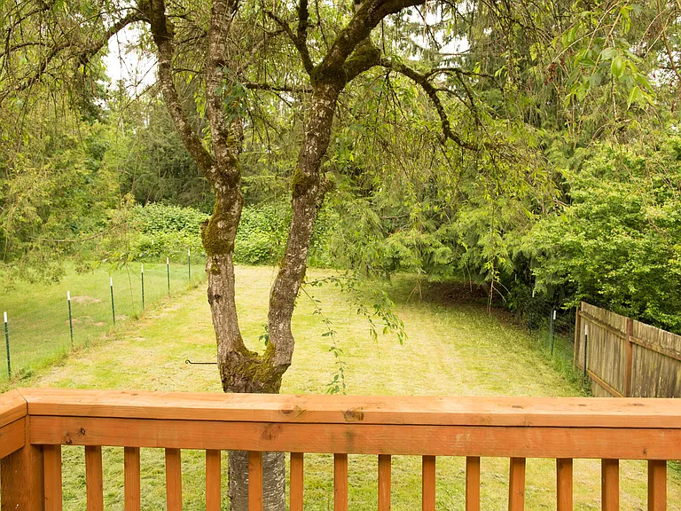 Private backyard deck overlooking a large green outdoor space with mature trees and peaceful natural surroundings. Great area for relaxing or entertaining outdoors.