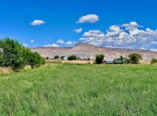 3429 D Rd, Palisade, CO 81526