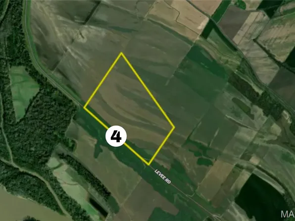 0 Levee Rd, Fults, IL 62244
