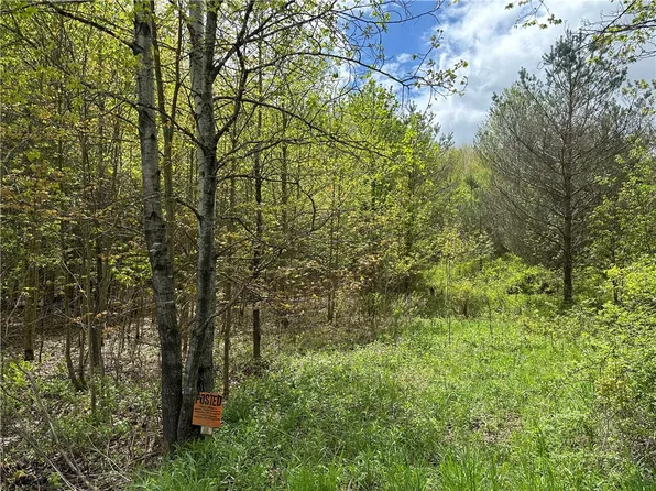 0 Pine Tree Rd #38, New Berlin, NY 13411