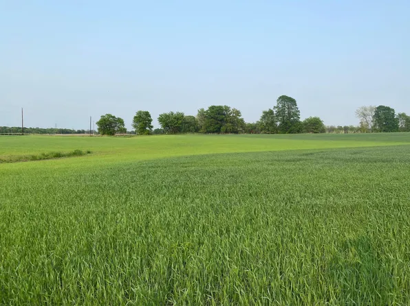 9010 Grace Ln N, Loretto, MN 55357