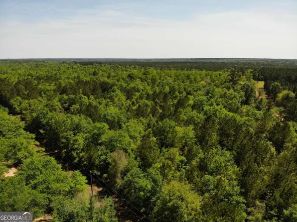 0-2A Farmers Rd, Alamo, GA 30411