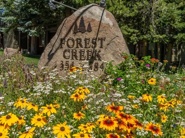 384 Joaquin Rd #35, Mammoth Lakes, CA 93546