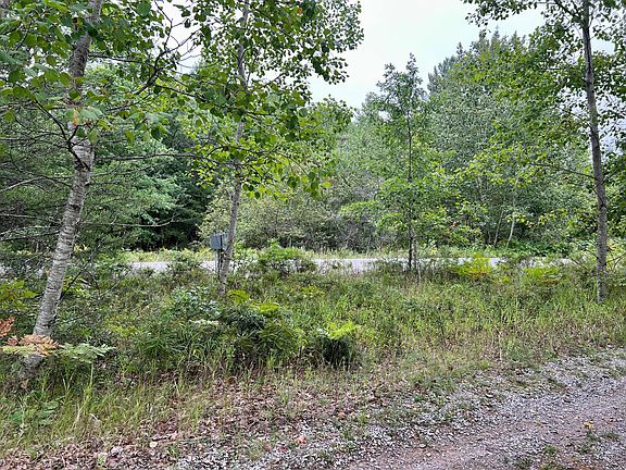 3rd image of 5282/5290 Spruce Dr