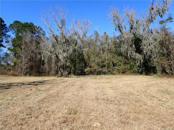 Hidden Hammock 154 Path, Wellborn, FL 32094