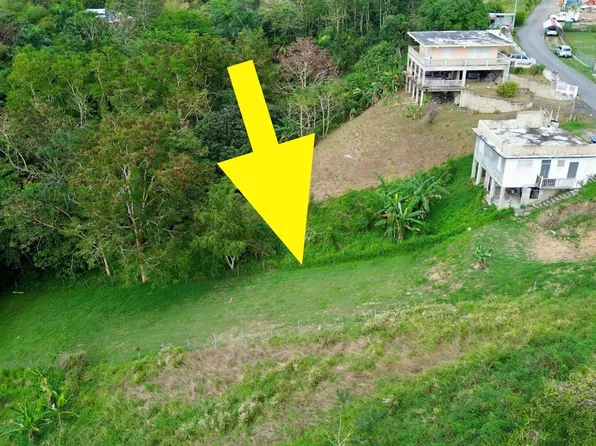 1 Bo Pueblo, Rincon, PR 00677