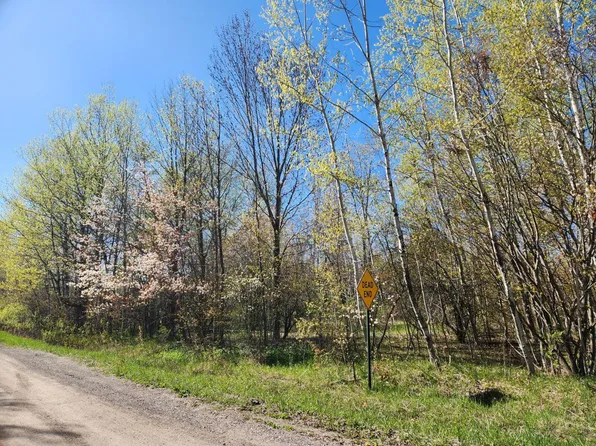 0 Ball Rd, Levering, MI 49755