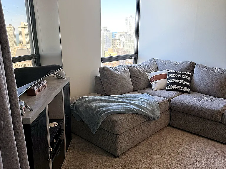 1122 N Clark St #3005 — Photo 3