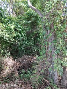 7th St, Bay Saint Louis, MS, 39520