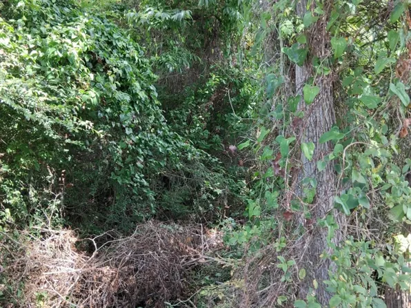 7th St, Bay Saint Louis, MS 39520