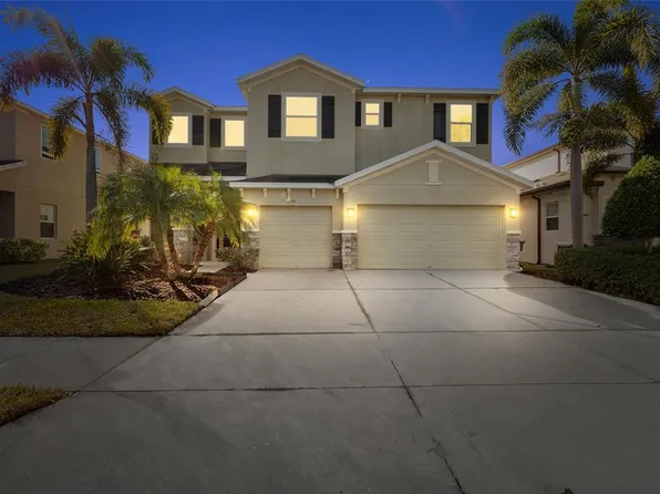 13443 Canopy Creek Dr, Tampa, FL 33625