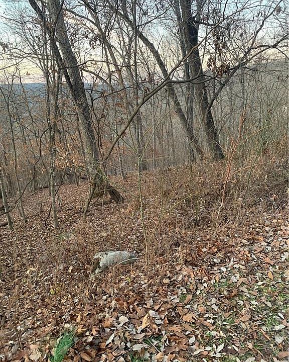 2nd image of Woodcliff Ln