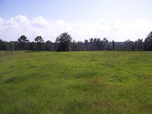 5th image of 2358 County Road 2717
