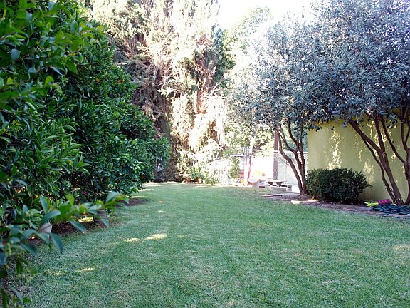 backyard lined with fruit trees