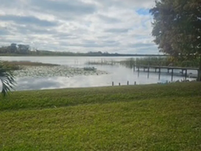 412 Orange Blossom Dr — Photo 4
